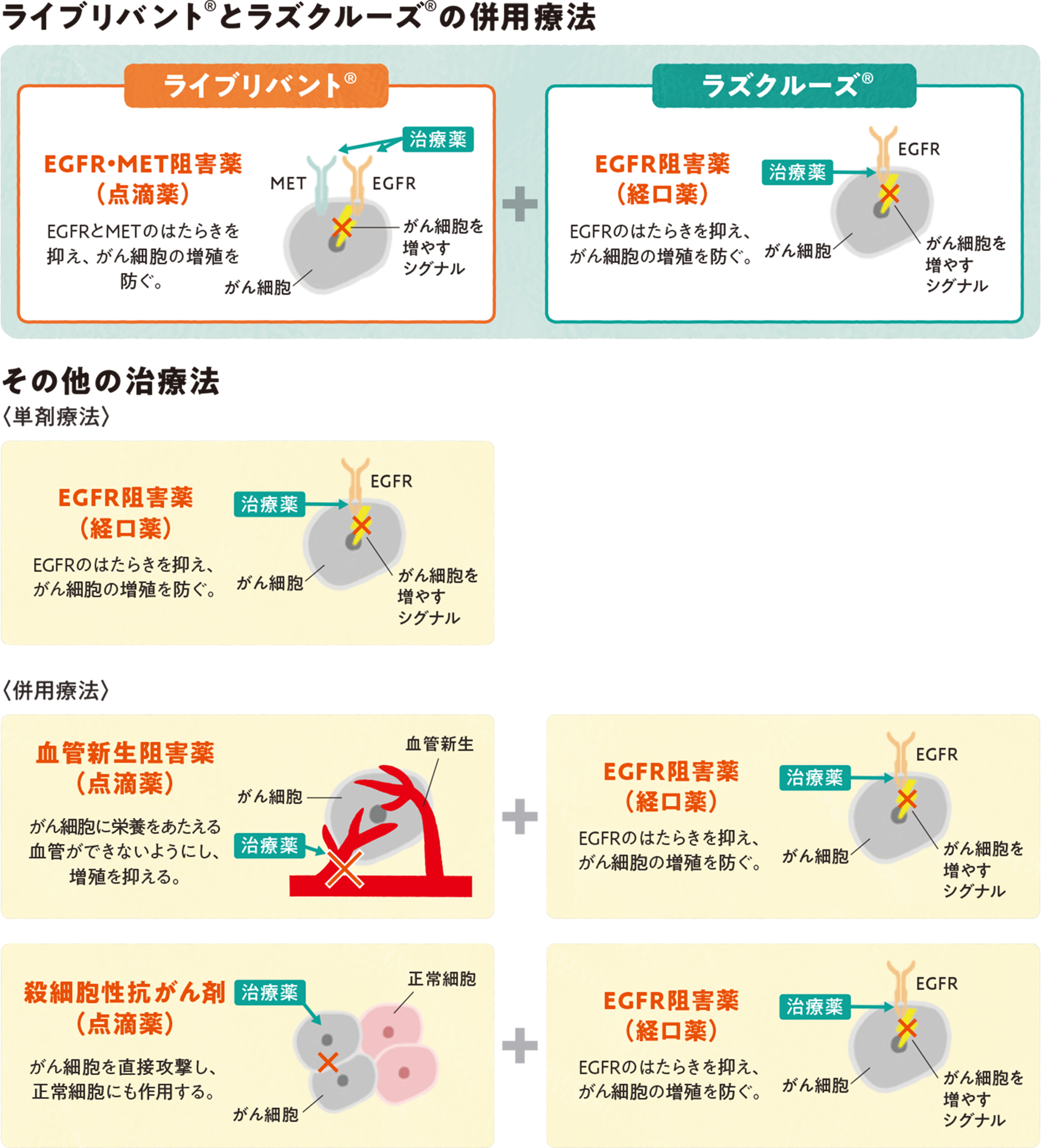 EGFR遺伝子変異陽性の非小細胞肺がん患者さんへの治療法