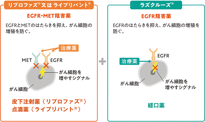 リブロファズ®とラズクルーズ®の併用療法