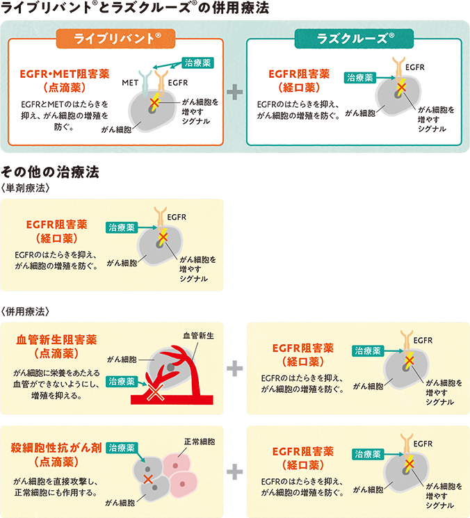 EGFR遺伝子変異陽性の非小細胞肺がん患者さんへの治療法