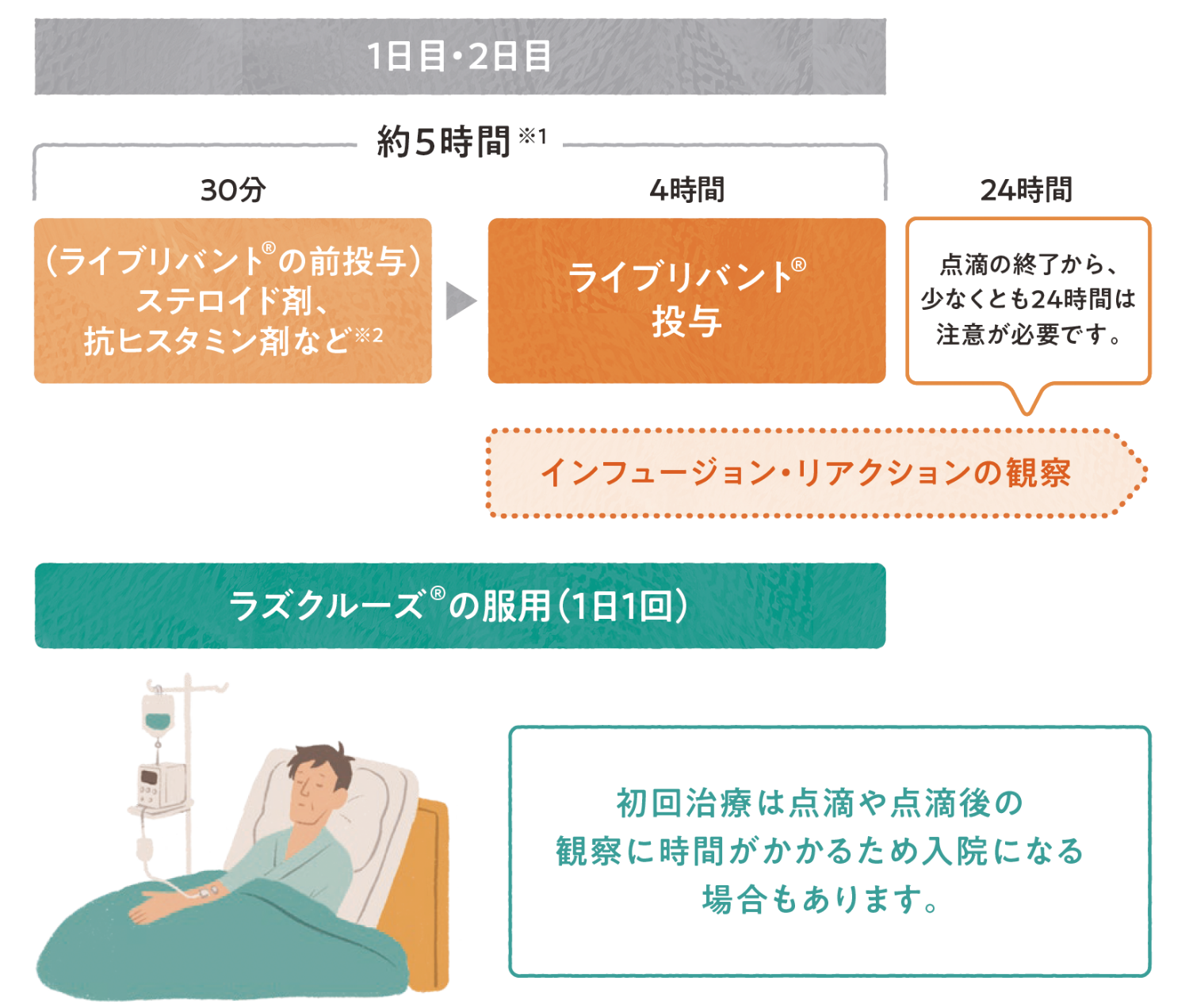 ライブリバント®とラズクルーズ®の併用療法 初回治療時の流れ