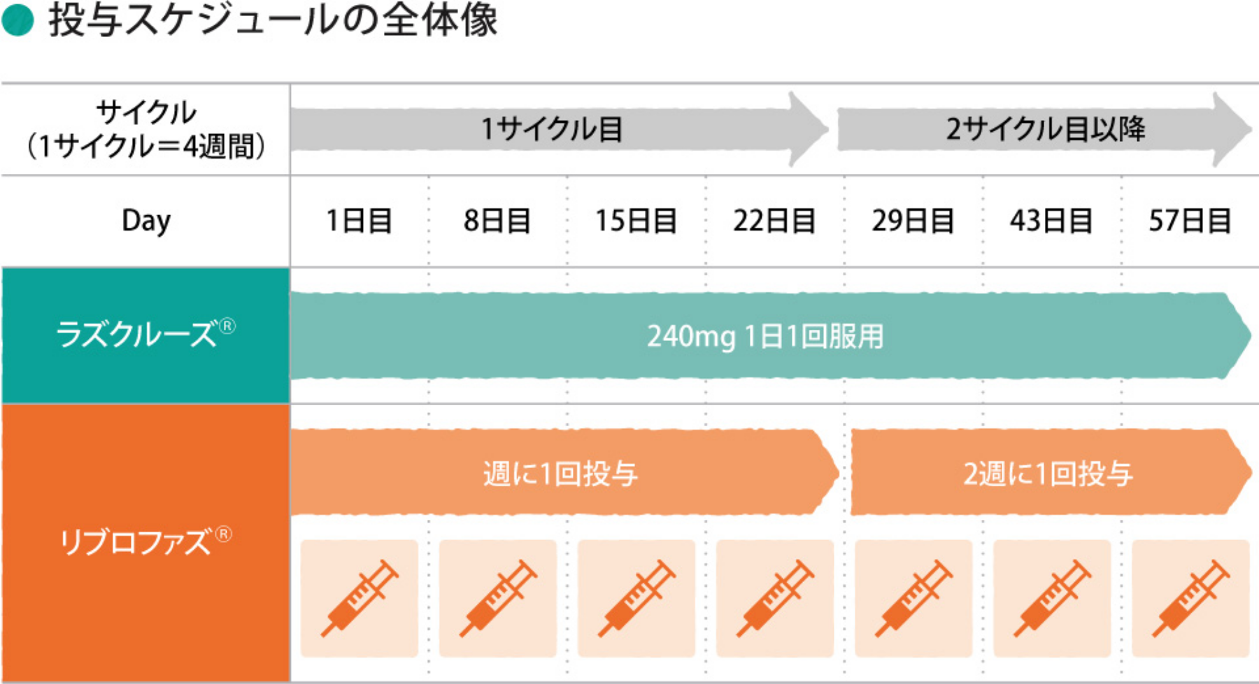 リブロファズ®とラズクルーズ®の併用療法のスケジュール