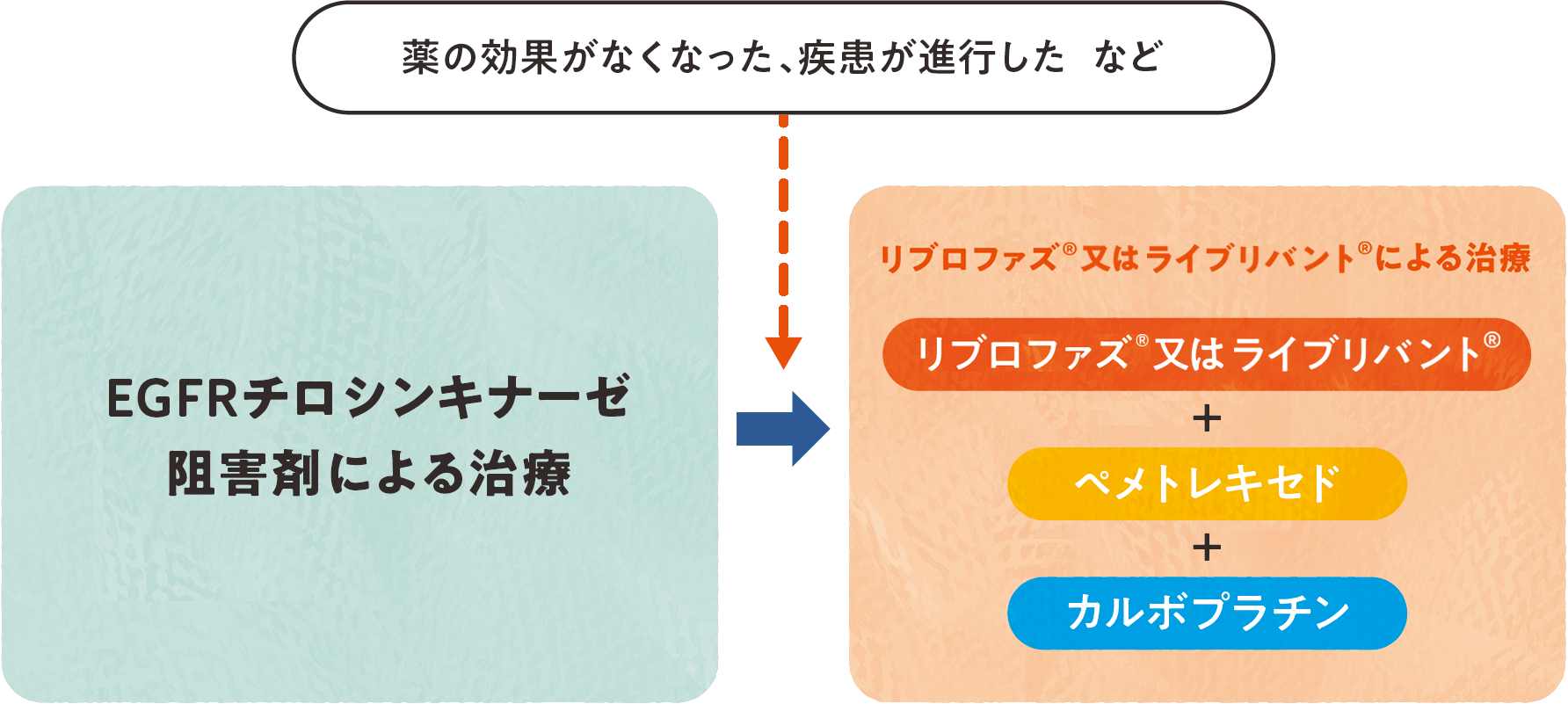 リブロファズ®又はライブリバント®とは