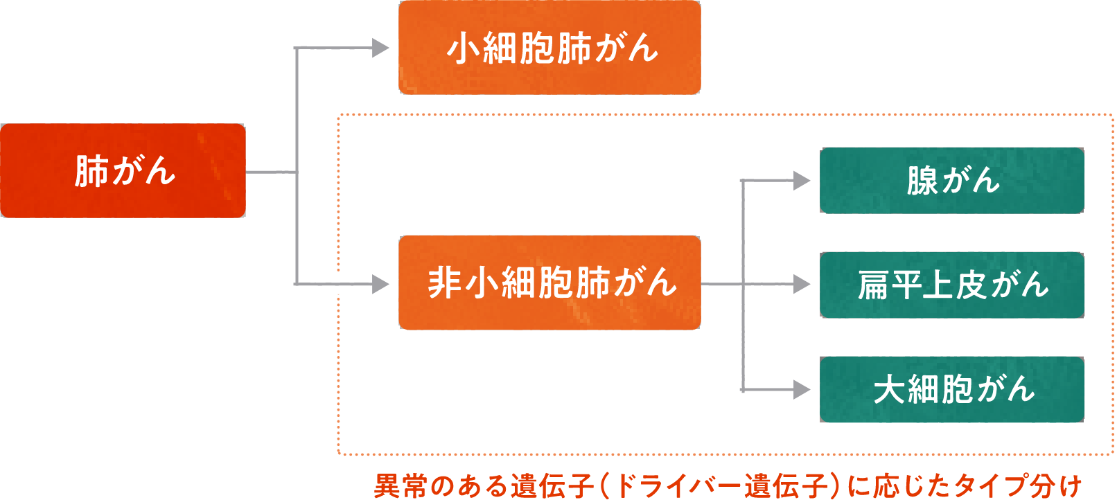 肺がんの種類と性質