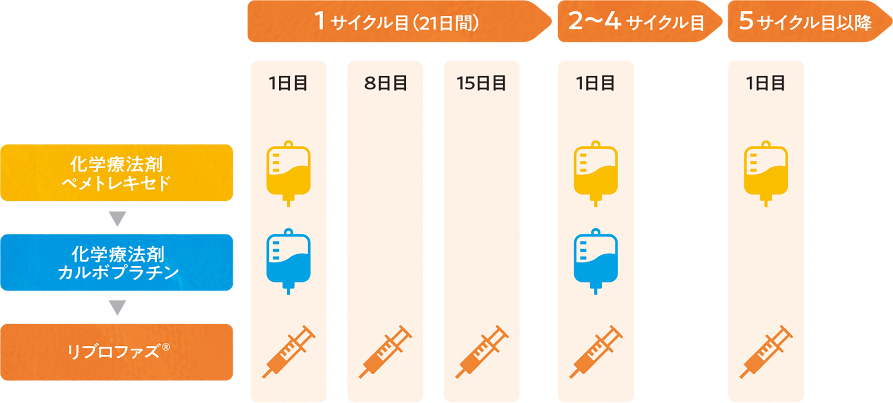 投与スケジュールの全体像