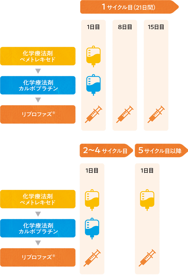 投与スケジュールの全体像