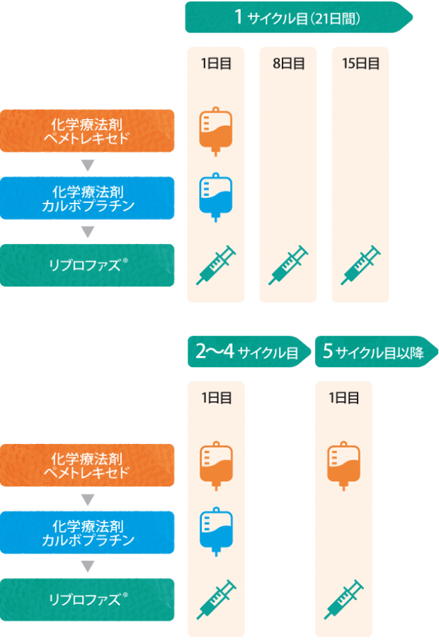 投与スケジュールの全体像